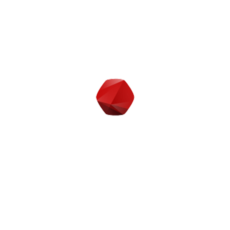 Logo IT Consultis Shanghai